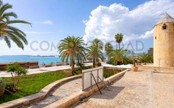 venta local palma de mallorca playa de palma