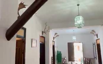 1 casas en alquiler almonte