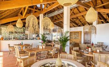 5 casas en venta bornos