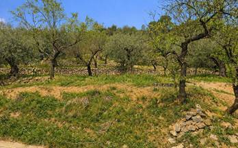 36 terrenos y fincas en venta la vall d´alcala