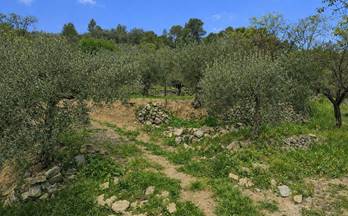 50 terrenos y fincas en venta castell de castells