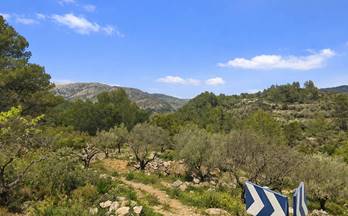 67 terrenos y fincas en venta la vall de laguar