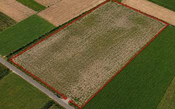 556 terrenos y fincas en venta islas baleares provincia