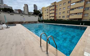 663 pisos en venta el albir