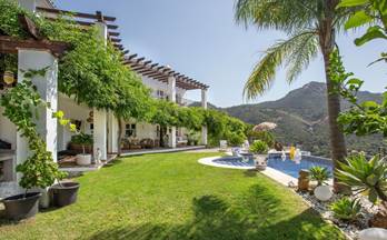 357 casas en venta san pedro de alcantara