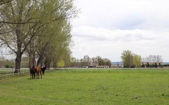 venta finca rustica aranjuez 