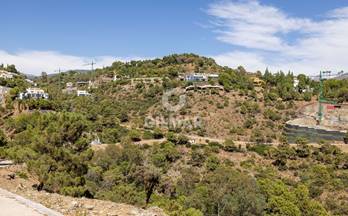 92 terrenos y fincas en venta totalan