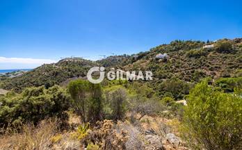 230 terrenos y fincas en venta malaga provincia