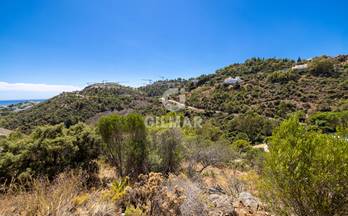 venta terrenos solares malaga benahavís