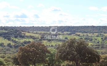 1 terrenos y fincas en venta ciudad real