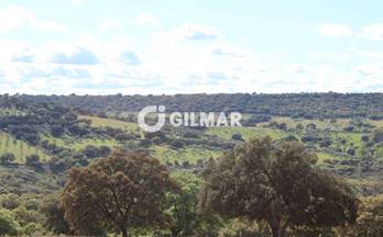 1 terrenos y fincas en venta poblete