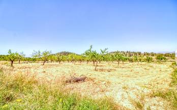 venta terrenos solares abanilla abanilla