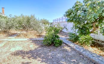 venta terrenos solares rojales centro de la ciudad quesada