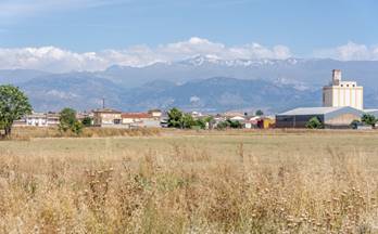 126 terrenos y fincas en venta ogijares