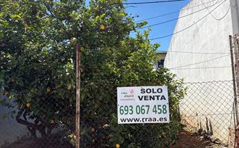 359 busca pisos o casas por texto libre