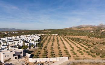 venta terrenos solares albolote chaparral de cartuja