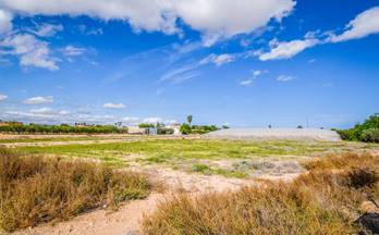venta casa de campo elche elx carretera elx - santa pola