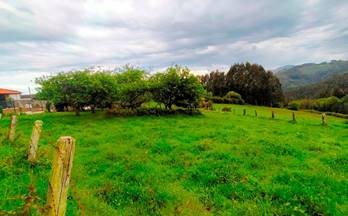 142 terrenos y fincas en venta asturias provincia