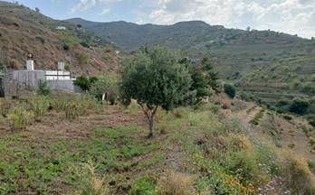 venta terrenos solares velez malaga camino viejo de málaga