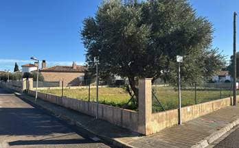 6 terrenos y fincas en venta vilamacolum