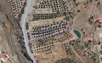 2 terrenos y fincas en venta albox