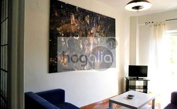 alquiler piso sevilla alameda