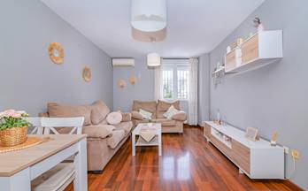 118 pisos en venta la zubia