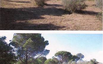 77 terrenos y fincas en venta girona provincia