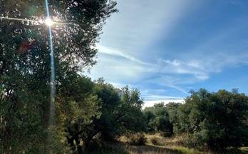 venta terrenos solares nivar nívar