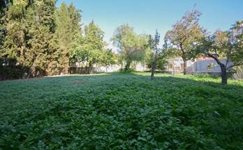 venta terrenos solares las gabias gabia la grande