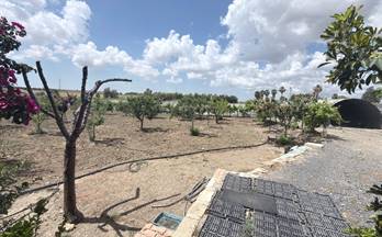 19 terrenos y fincas en venta san juan del puerto