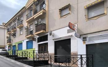 venta local la zubia centro