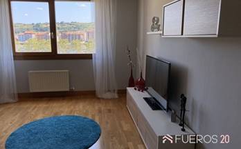 51 pisos en venta alonsotegi