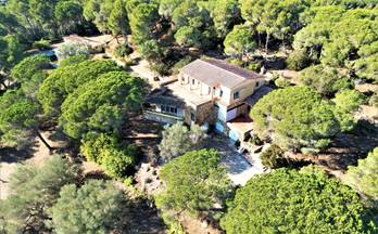 venta finca rustica palamos 