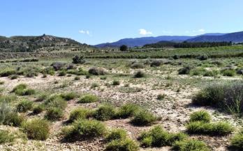 venta terrenos solares villena las virtudes