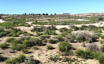 venta terrenos solares villena las virtudes