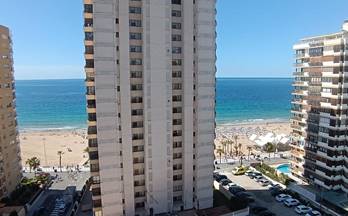 venta estudio benidorm levante