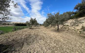 133 terrenos y fincas en venta alhendin