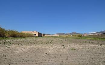 126 terrenos y fincas en venta motril