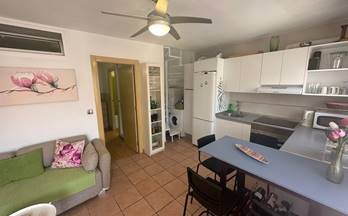 3 casas en alquiler pilar de la horadada