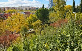venta piso madrid capital moncloa
