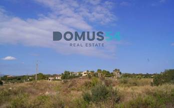 135 terrenos y fincas en venta sineu