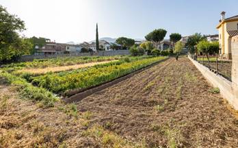 83 terrenos y fincas en venta pinos genil