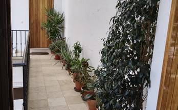28 pisos en venta huelva provincia