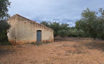 venta terrenos solares freginals rústica