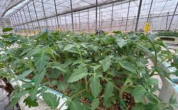 venta terrenos solares motril el varadero