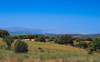 1 terrenos y fincas en venta navalperal de pinares