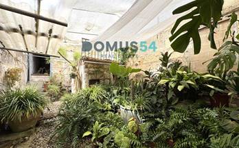 123 casas en venta maria de la salut
