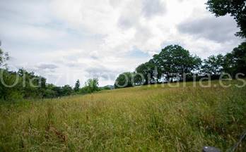 1 terrenos y fincas en venta arcentales