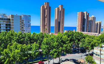 565 pisos en venta altea